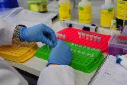 Ampliar foto: Trece nuevos proyectos de investigacin en salud podrn desarrollarse este ao a travs del IIS